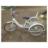 Vintage Adult Tricycle - 3 Wheel Bike