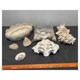 White Ceramic Seashell Bowl & Seashell Collection