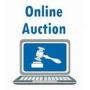 Welcome To The Auction - Please Read!