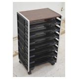 Rolling File Organizer