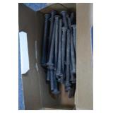 Carriage Bolts