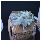 Box of Artificial Greenery