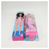 Barbie Doll and Barbie Mermaid Doll Set