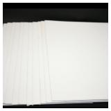 Set of 11 Blank White Canvases