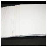 Set of 10 Blank White Canvases