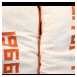 Pair of Embroidered Throw Pillows