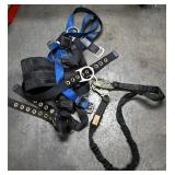 Safety Harness with Lanyard