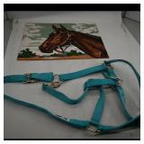 "Sterling" Horse Halter ï¿½ Teal, 2012 "This Time...