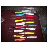 17 COLORFUL ADVERTISING PEARING KNIVES