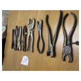 8- HOG RINGERS - STEWART ,DE NEUI ,SEYMOUR,MILLS