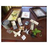 COLLECTION BUTTERFLIES