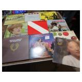 10- 1980'S RECORD ALBUMS