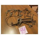 25 ASSORTED SKELTON KEYS