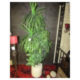 6 FT. PLANT DECOR