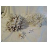 2- WHITE CORAL DECOR