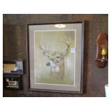 DEER PICTURE