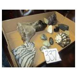 11- DECOR COLLECTOR ROCKS