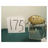 HEDDON PUNKINSEED 21/4 "LURE