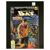 DC #22 Batman Shadow of the Bat Bruce Wayne Part 2