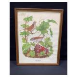 Royal Powder Wood Thrush Picture in Frame