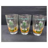 Blakely Oil & Gas Cactus Print Glasses-3 in lot