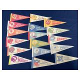NFL National League Team Pennants