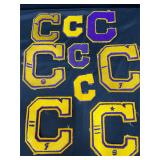 School Varsity Letters