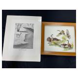 McCleary & Sweney Wildlife Pictures