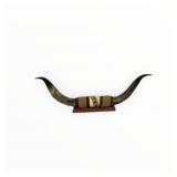 Bull Horns