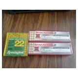 Winchester and Remington .22 Ammo
