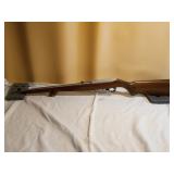 Ruger Model 10/22 .22 Cal Rifle