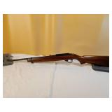 Ruger 10/22 Carbine .22 LR Rifle
