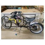 Schwinn Sting-Ray Cruiser Bicycle