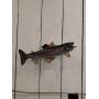 22-Inch Mounted Trout Display