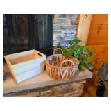 Live Plant, Felt Wood Carrier and Decor BASK