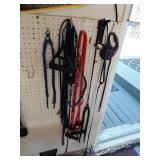 Dog Leashes and Training Leads