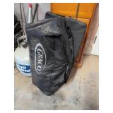 Graco Pack and Play with Travel Bag