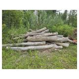 Weathered Hardwood Logs