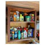 Contents of Shelf: Cleaning and Pest Control Items