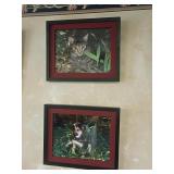 Framed Cat and Dog Photographs, 14x11
