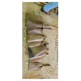 Lot of Flathead shovel heads