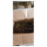 Lot of animal traps