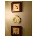 Trio of Nautical Shell Wall Art Decor