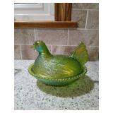 Hen on a nest