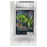 Tyranitaur V