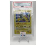 raikou 2007 pokemon D & P