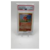 Torchic