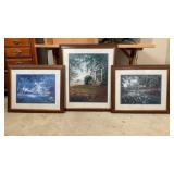 RcCarter Southern Landscapes Frames