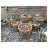 Terra Cotta Pots