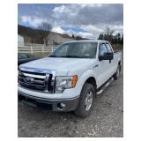 2010 FORD F150